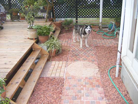 �E�b�h�f�b�L�A�����W