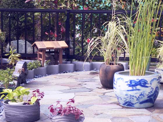 ����񂱁i�y�b�g�j�̂���