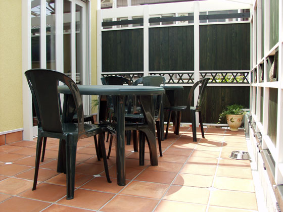 �W���Q���؍�