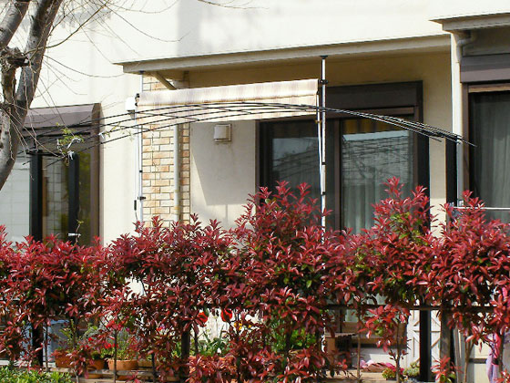 �O�Y�s�O���[�C���O�s�@���I