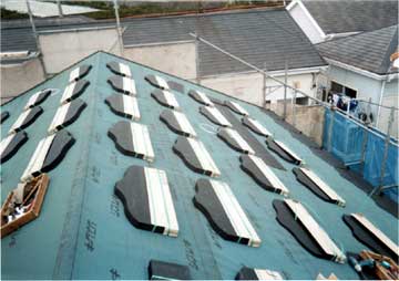 ���[�t�B���O�i�h���j�H��